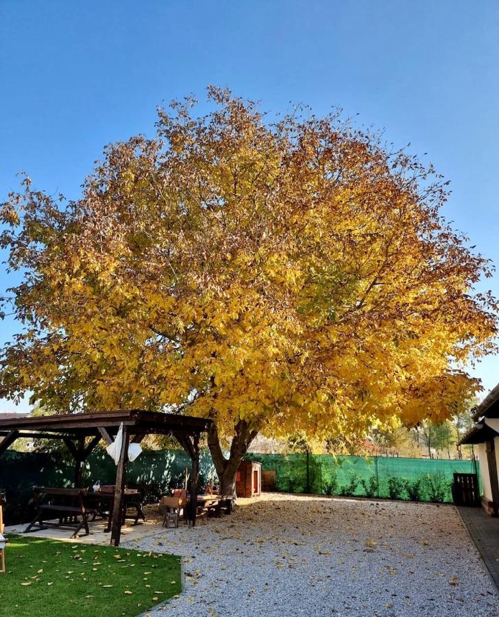 A MI KISHÁZUNK vendégház Szomod Exterior foto